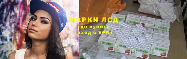 спайс Няндома