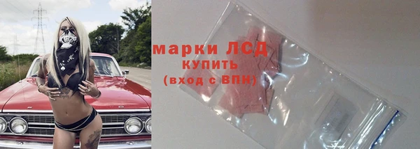 спайс Няндома
