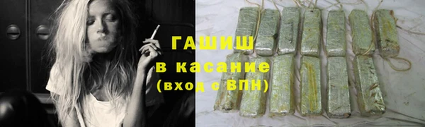 хмурый Осинники