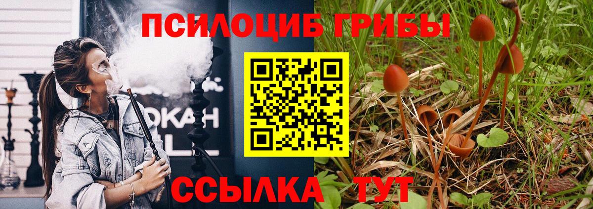 Кашира  Псилоцибиновые грибы ЛСД  Псилоцибиновые грибы Cubensis  Вход с VPN 